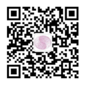 微信图片_201902151340524.png