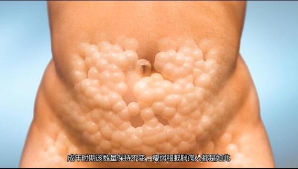 QQ截图20181228103326.jpg