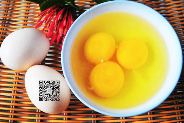 QQ截图20190222164633.png