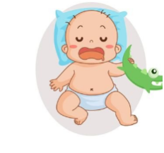 宝宝.png