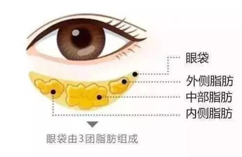 ۴һо͹αػôԩǮ