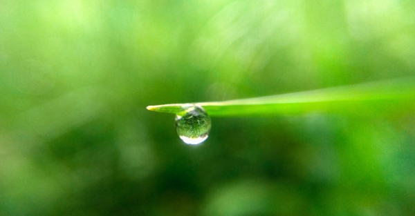 结膜炎使用眼药水注意事项