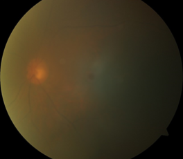 ΢ͼƬ_20191024113426.png