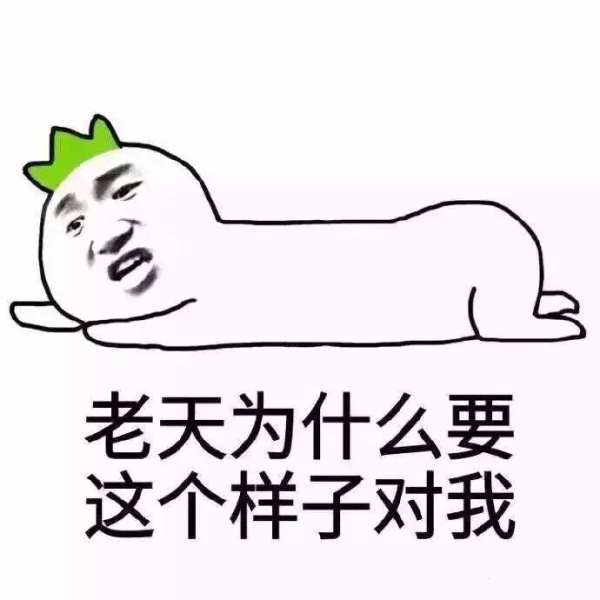 04.jpg
