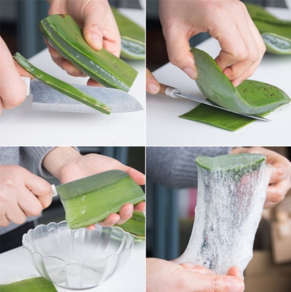 单店年收入超百万!解读芭芭多芦荟美容加盟赚钱秘诀