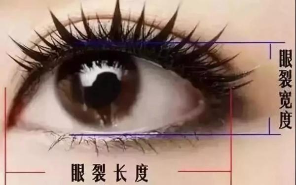 微信图片_20200818164319.jpg