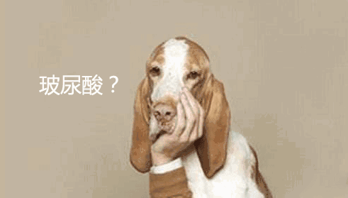 01.gif