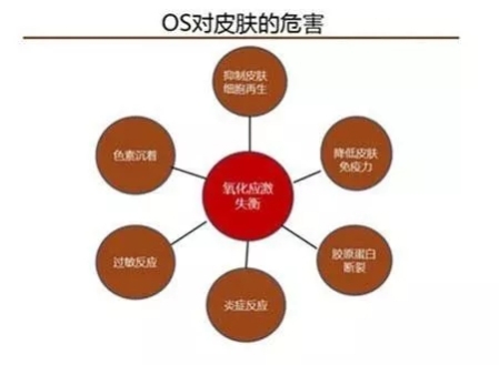 640.webp (2).jpg