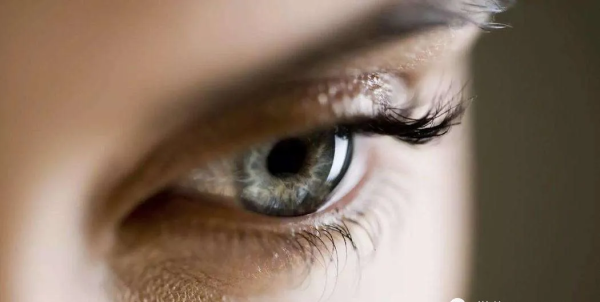 图片12.png 图片12.png