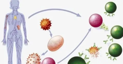 图片13.png 图片13.png